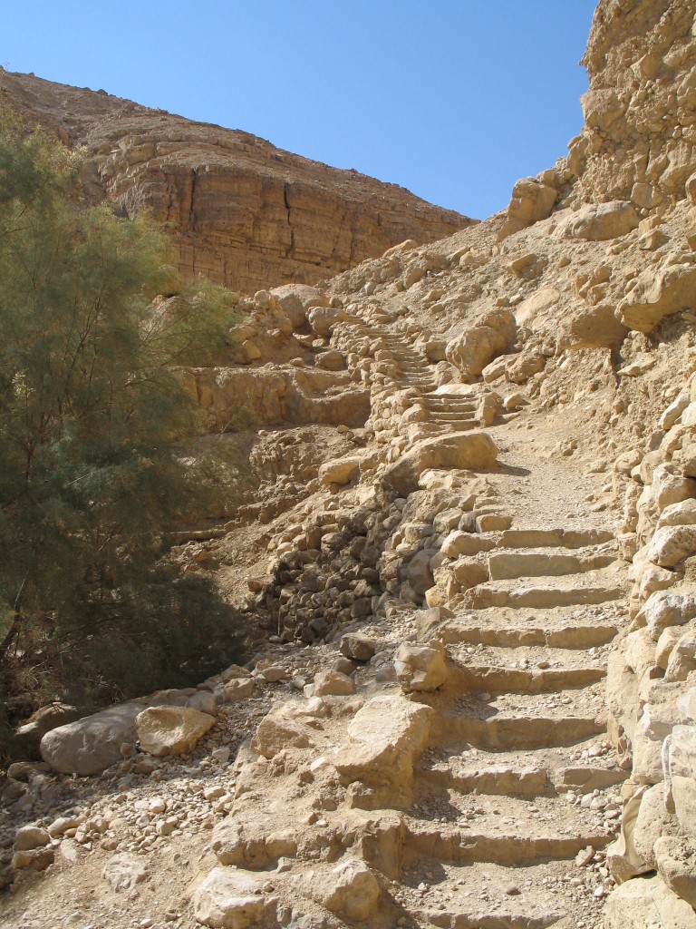 Image of En Gedi trail